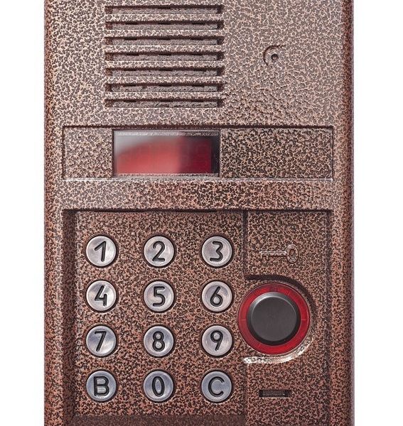 DP400-RD24 (медь): Блок вызова домофона