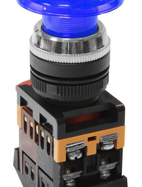 Кнопочный выключатель AELA-22 синий гриб с подсветкой 1з+1р 230В