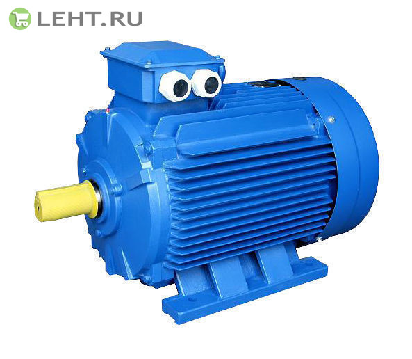 Электродвигатель АИР 100 L6 2,2кВт 1000об/мин 1081(лапы)