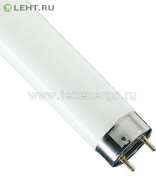 TL-D 18W/33-640 Philips: Лампа люминесцентная