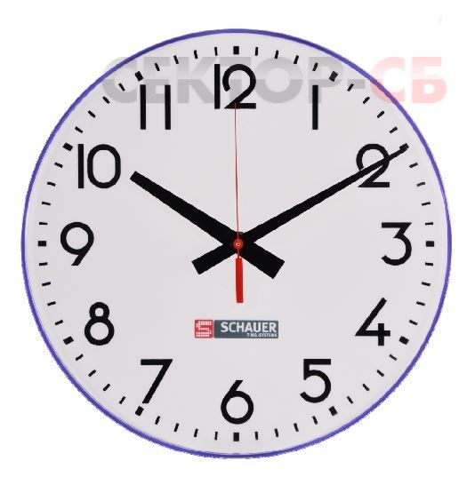 NZN30SEK SCHAUER Вторичные аналоговые часы