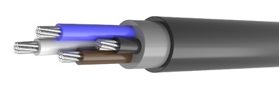 АВВГ 4х25,0 ККЗ: Силовой алюминиевый кабель