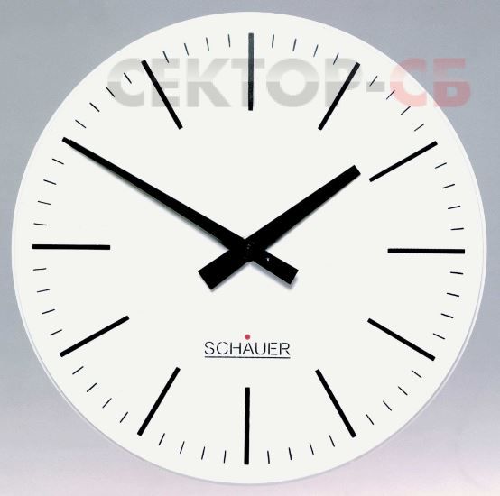 NANTP30 SCHAUER Вторичные аналоговые часы